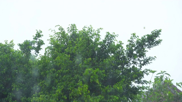 雨天的风景视频素材