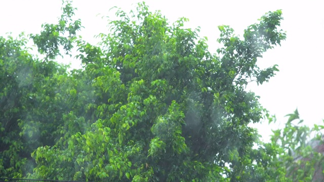 雨天的风景视频素材