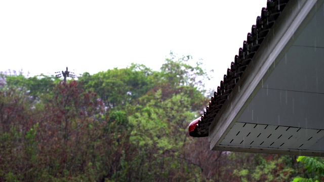 雨点落在屋顶上视频素材