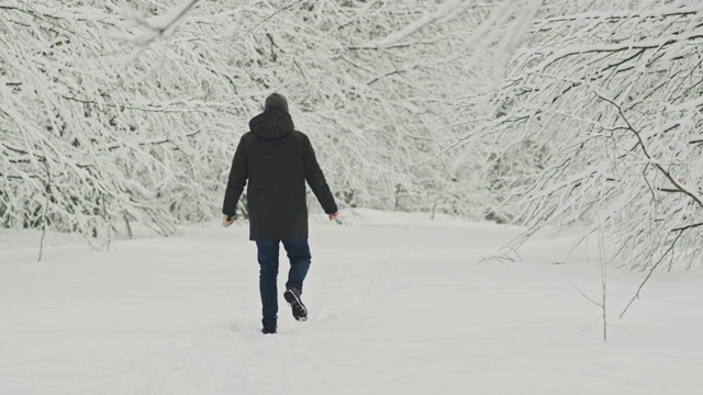 游客们捕捉雪山美景的视频视频素材