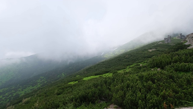 夏天多雾的早晨多云的喀尔巴阡山脉(Chornohora山脉，乌克兰)视频素材