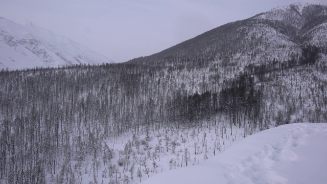 俄罗斯远东地区，古老的科列马公路旁的大山脊视频素材