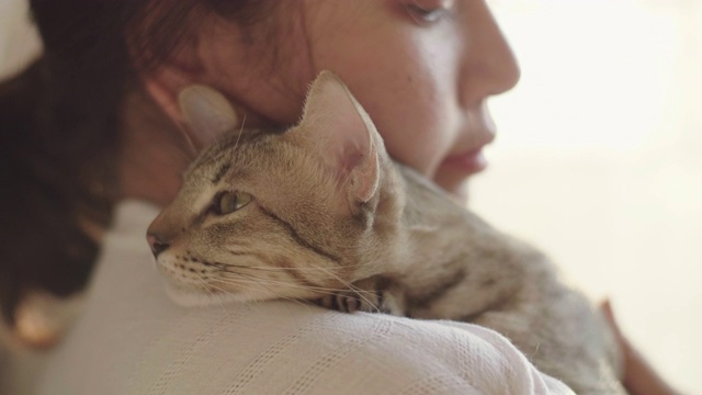 年轻女子拥抱她的宠物猫。视频素材