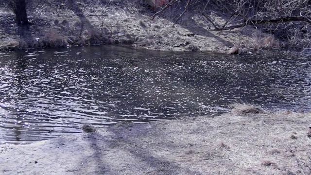 生态水视频素材