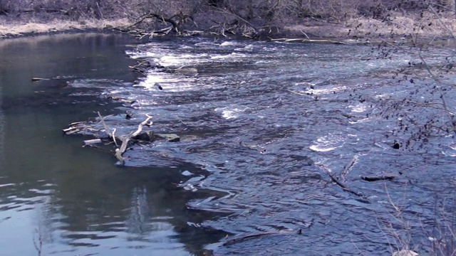 生态水视频素材