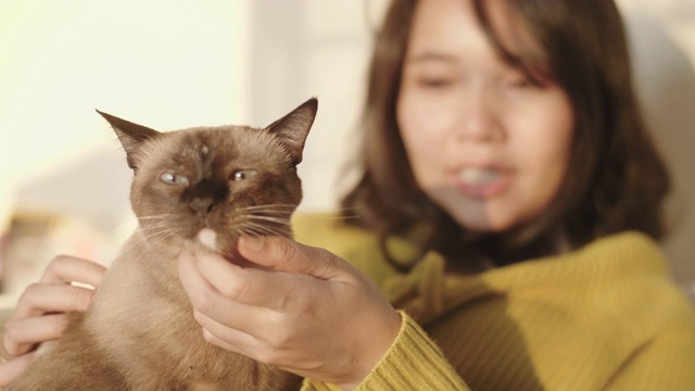 一个年轻女子在卧室白色的床上玩她的宠物猫。视频素材