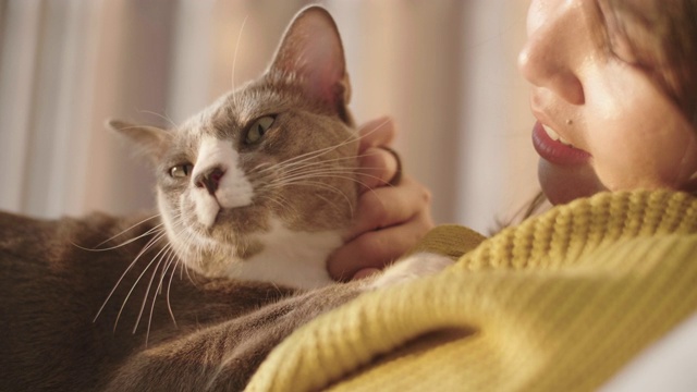 一个年轻女子在卧室白色的床上玩她的宠物猫。视频素材