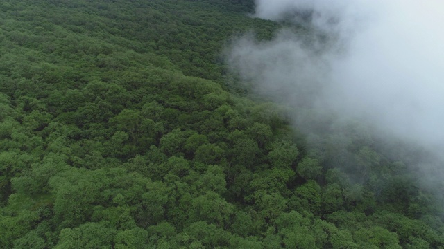 夏季山景鸟瞰图视频素材