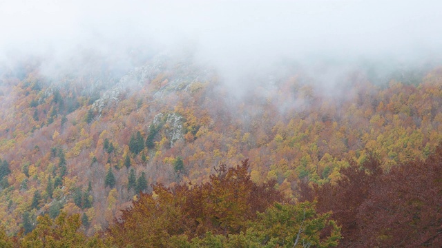 秋天的风景从西班牙蒙特塞尼山与云彩和色彩斑斓的森林视频素材