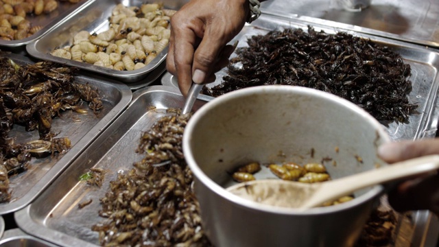 购买泰国传统的昆虫食品视频素材