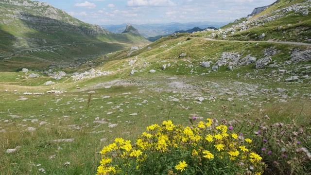 黑山夏季山地Durmitor国家公园。Durmitor全景路，Sedlo通行证。视频素材