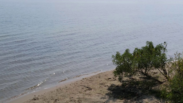 湖(或海)沙滩上的小海浪和飞鸟。视频素材