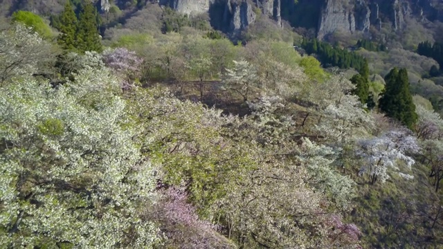 空中WS景观与山，山Myogi，群马县，日本视频素材