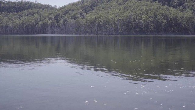 湖坝水面在阳光的照射下闪闪发光，自然现象澳大利亚黄金海岸春夏反射视频素材