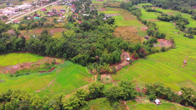 一架无人机俯瞰马来西亚沙巴州坦布南的稻田，上面是美丽的稻田梯田。4 k。视频素材
