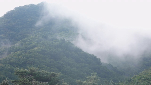 韩国，全罗南道，松光沙寺，顺天溪，若溪山云雾视频素材