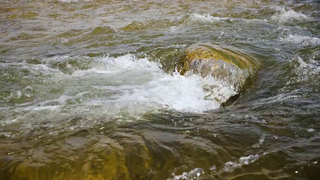 水在浅泉河的小岩石上流淌，形成白浪，阳光照在小溪上视频素材