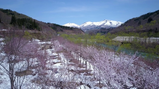 WS航空加山和湖在冬季，山形县，日本视频素材