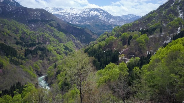 WS空中景观与河流和森林在山谷，秋山前，新泻县，日本视频素材