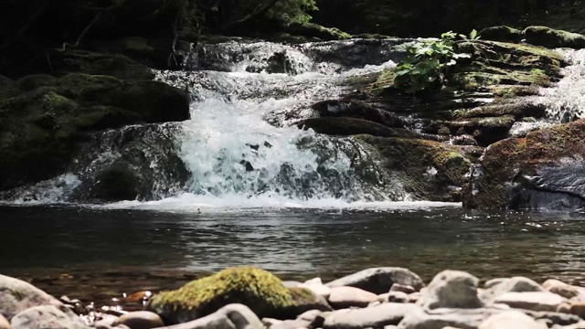 小瀑布清澈的水流动在池塘视频素材