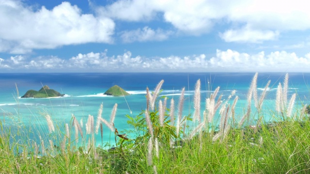 夏威夷瓦胡岛向风的海岸上的Mokulua岛视频素材