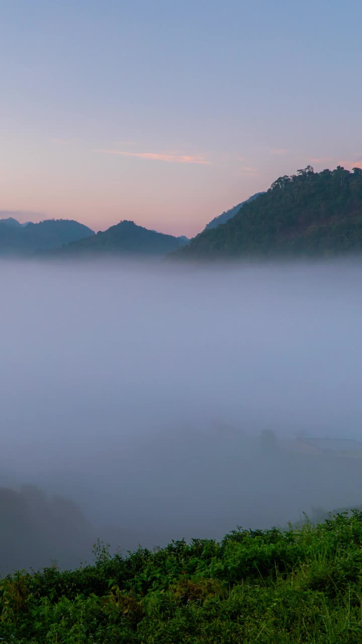 日出时，山谷中垂直时间流逝的雾视频素材