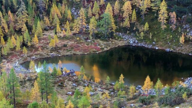 秋季傍晚高山森林Untersee湖，重申，奥地利视频素材