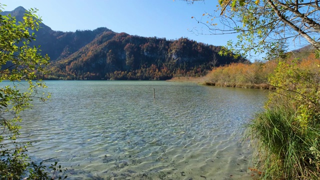 秋季高山奥芬西湖，萨尔兹卡默古特，上奥地利视频素材