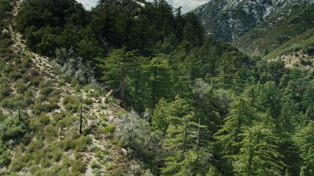 春季，无人机飞越圣加布里埃尔山脉陡峭的山坡视频素材