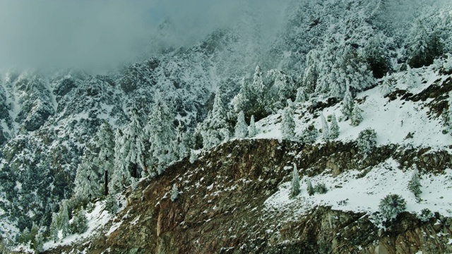 在圣加布里埃尔山的悬崖顶上覆盖着雪的树-航拍视频素材