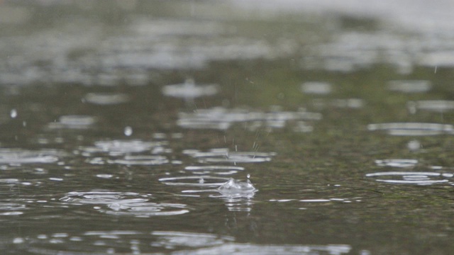 雨滴落入水坑并溅起水花的慢动作视频素材