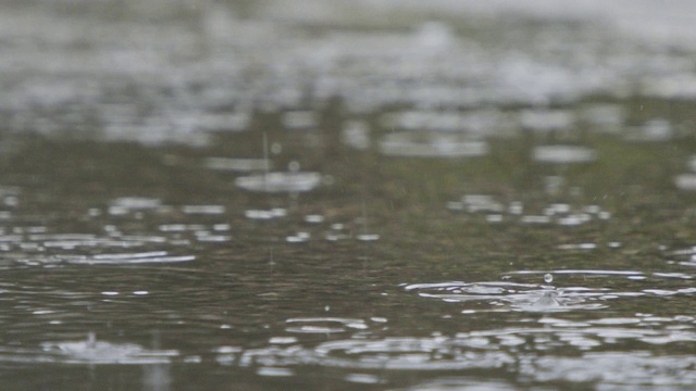 雨滴落入水坑并溅起水花的慢动作视频素材