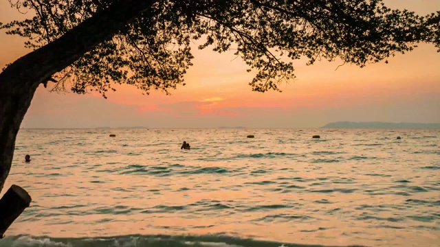 日落海滩与树木和美丽的天空景观。旅游、旅游、度假的概念背景。芭堤雅海滩天堂般的景色。橙色的太阳下美丽的树的剪影视频素材