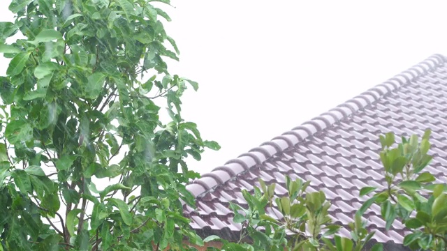 雨天的风景视频素材