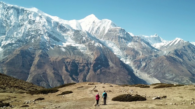 一对徒步前往冰湖的夫妇，安纳普尔纳巡回徒步旅行的一部分，喜马拉雅山，尼泊尔。他们是快乐的。安纳布尔链子在后面，上面覆盖着雪。晴朗的天气，干燥的草地，雪峰。高海拔视频素材