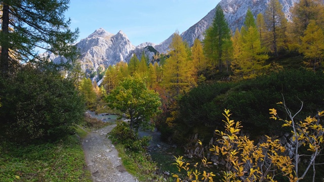 秋天高山溪流和塔彭卡湖，Kleinarl，奥地利视频素材