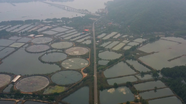 养虾场是出口和国内消费的经济动物视频素材