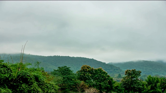 雾在早上移动和日出在泰国北部的山。视频素材