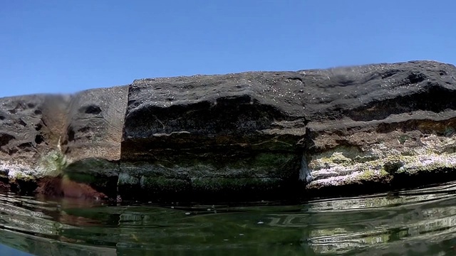 里海的水面和水下。视频素材