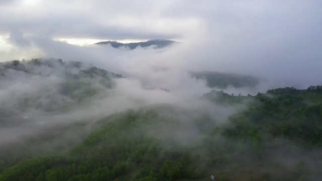 飞越令人惊叹的热带雨林，鸟瞰日出时雾气弥漫的热带雨林。4 k航拍视频中,视频素材