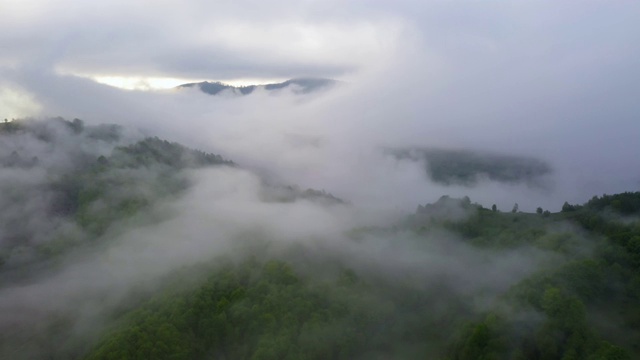 飞越令人惊叹的热带雨林，鸟瞰日出时雾气弥漫的热带雨林。4 k航拍视频中,视频素材