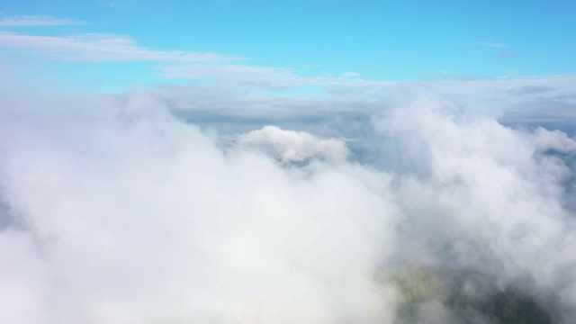 飞越令人惊叹的热带雨林，鸟瞰日出时雾气弥漫的热带雨林。4 k航拍视频中,视频素材