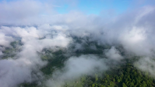 飞越令人惊叹的热带雨林，鸟瞰日出时雾气弥漫的热带雨林。4 k航拍视频中,视频素材