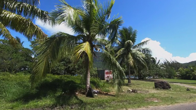 在博拉博拉岛的热带风景的公路上旅行的广角视频素材