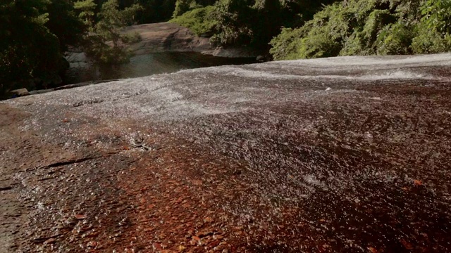 在阳光明媚的日子里，树木和河流上的流水映衬着天空，布里斯班，澳大利亚视频素材