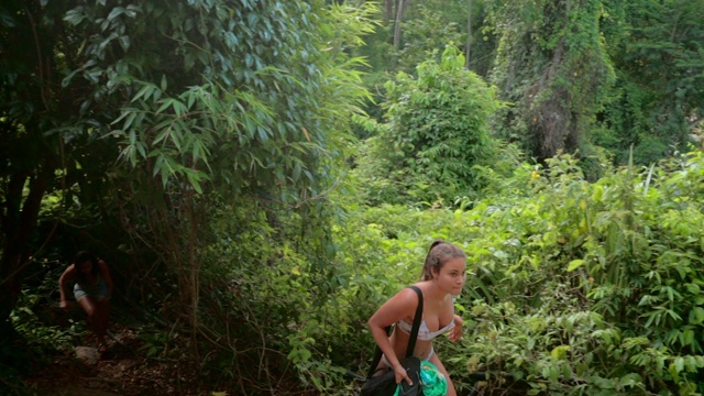 倾斜拍摄的女性朋友走在植物之间的小径上，她们正在森林里徒步旅行——Ilhabela，巴西视频素材