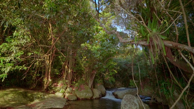 慢镜头拍摄的溪流中树木在森林，岩石在流动的水- Ilhabela，巴西视频素材