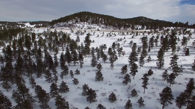 鸟瞰高速公路上的车辆在常青树与雪，汽车在道路上的景观在冬季对天空-约内西，科罗拉多州视频素材