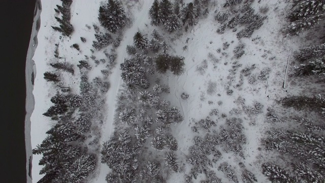 冰雪覆盖的常绿树木的鸟瞰图冰冻的河流，无人机在冬天移动森林-杰克逊，怀俄明州视频素材