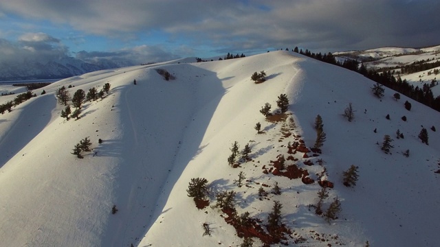 鸟瞰图的常青树在雪山对天空，无人机移动到美丽的白色风景-杰克逊，怀俄明州视频素材